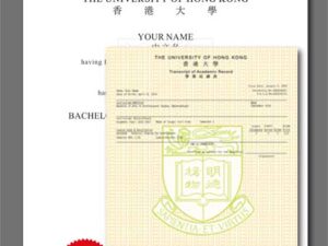 Hong Kong Diploma With Transcript