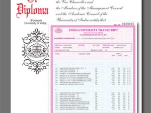 India Diploma With Transcript