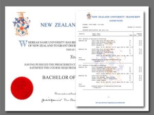 New Zealand Diploma With Transcript