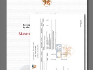 Singapore Diploma With Transcript